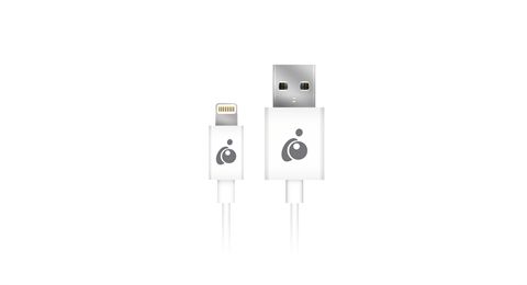 Charge & Sync Flip 3.3ft (1m) - White, Reversible USB to Lightning Cable